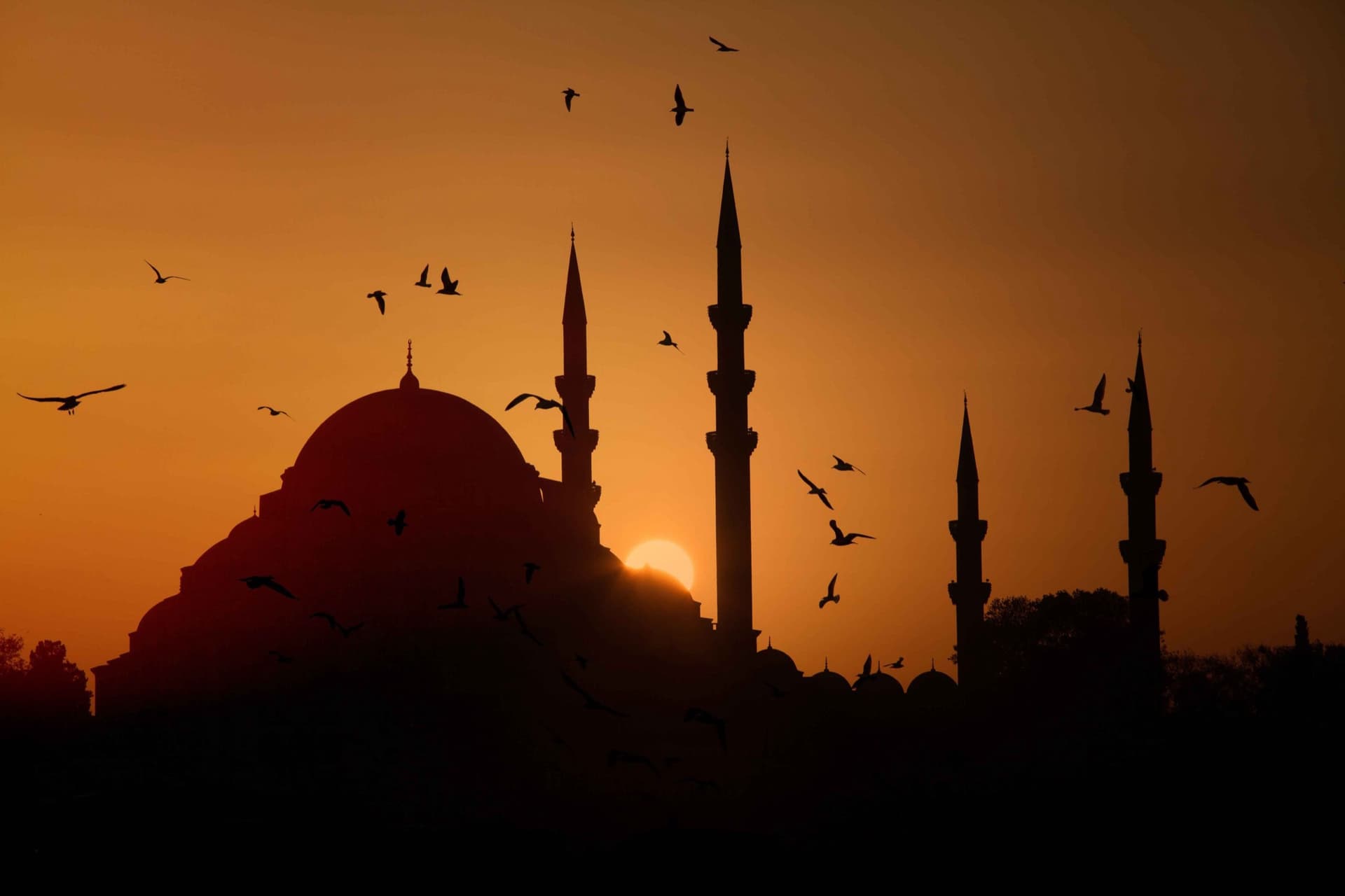 Istanbul Scams: What Every Tourist Must Know