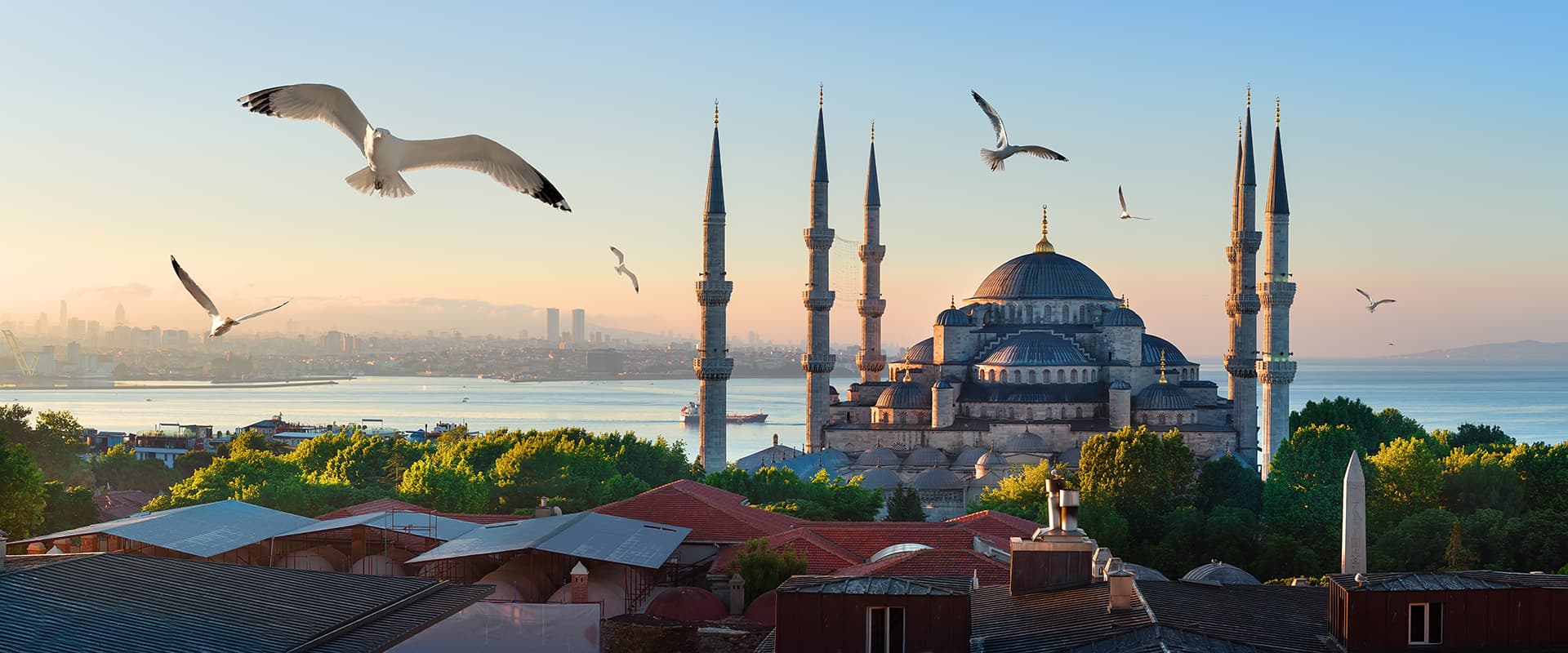 Tour Privado Magnífico de Estambul