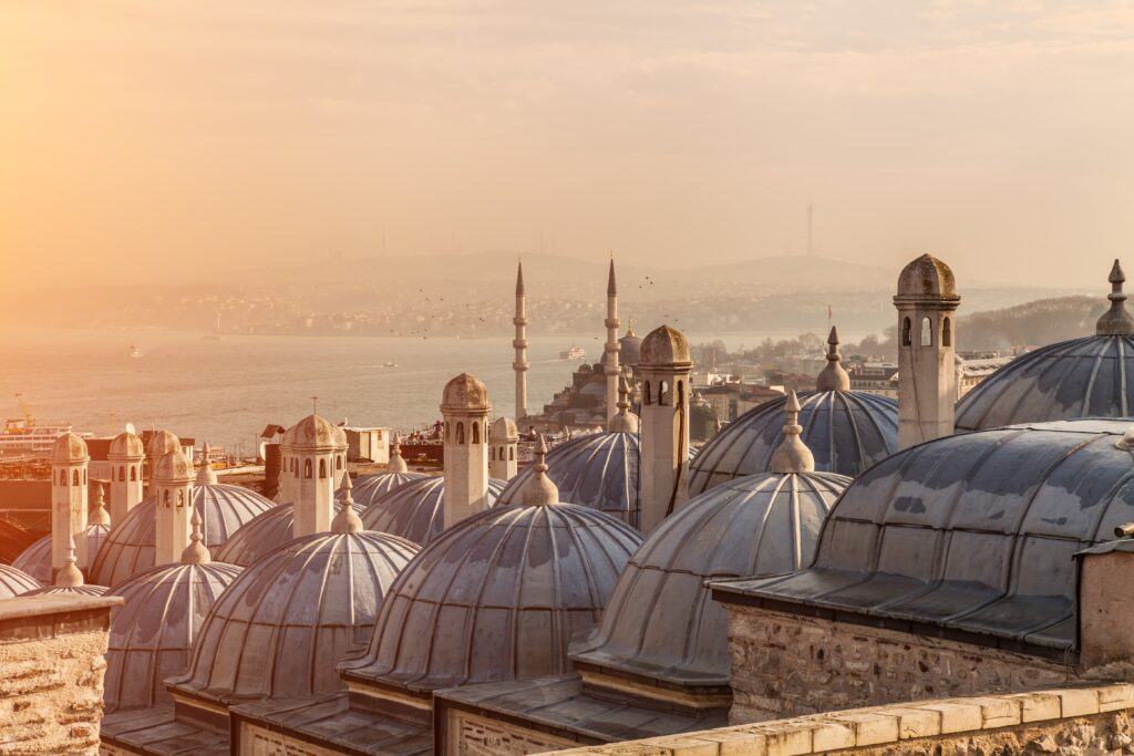 The domes of suleymaniye mosque with the bosphoru
